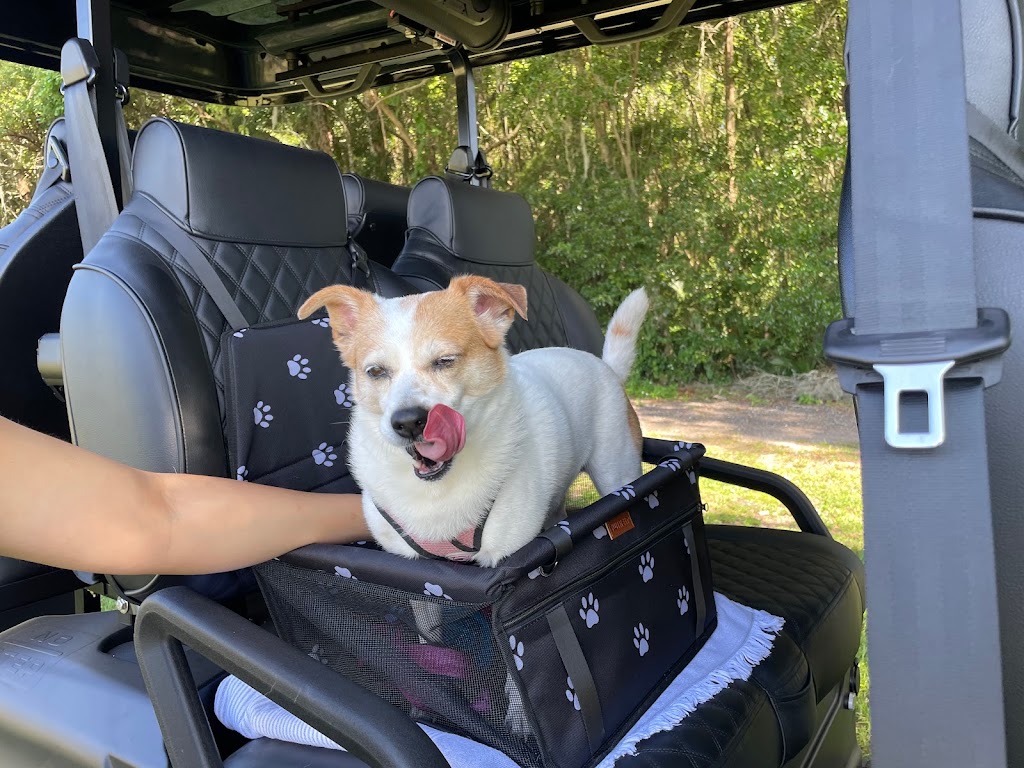 Ultimate Carts - New Smyrna Beach | 1701 FL-44, New Smyrna Beach, FL 32168, USA | Phone: (386) 559-6177