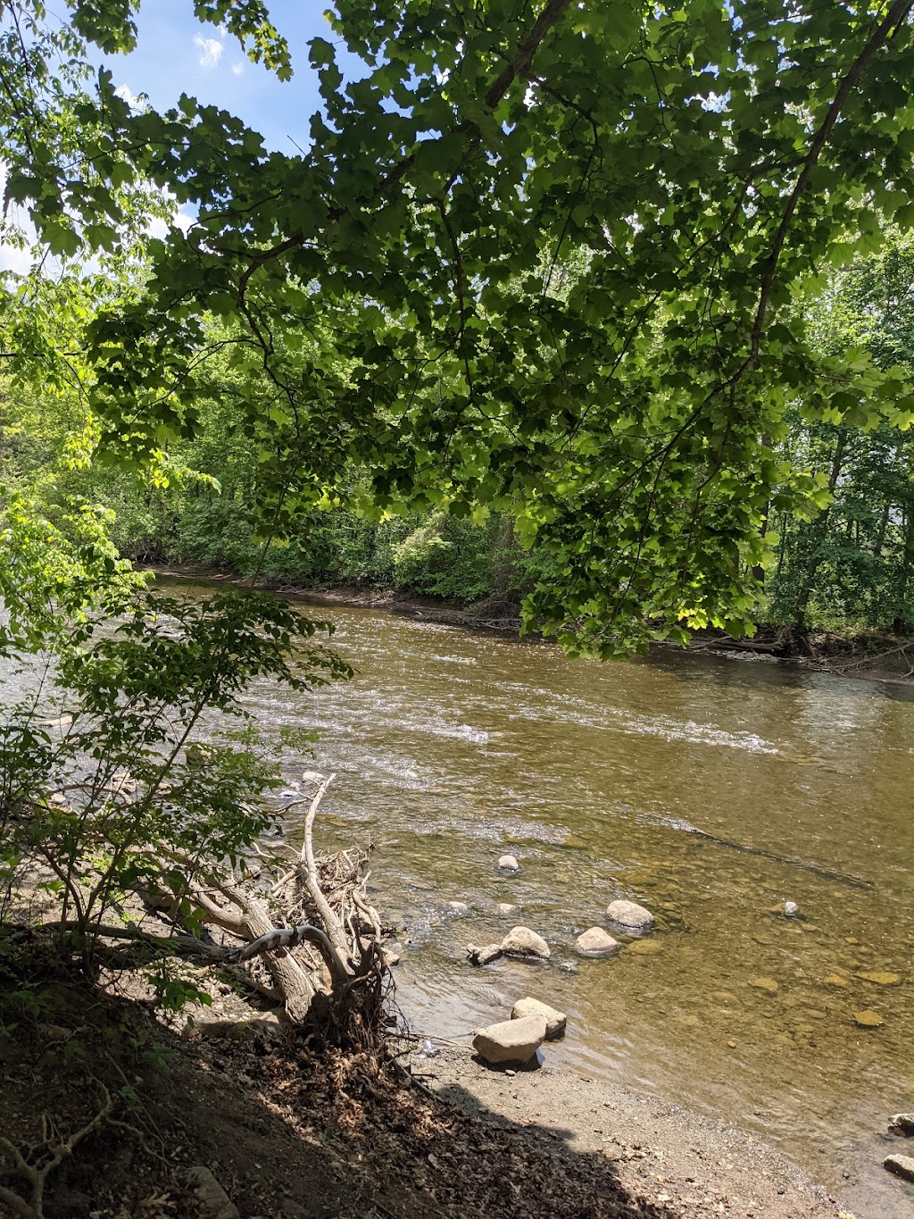 Cedar Bend Nature Area | 1495 Cedar Bend Dr, Ann Arbor, MI 48109, USA | Phone: (734) 794-6000