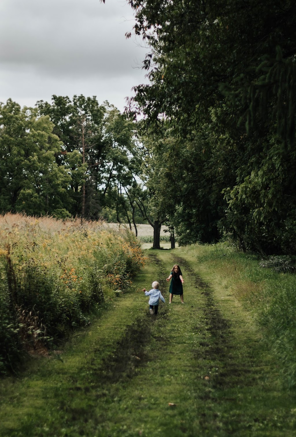 Anderson Farm County Park | 914 Union Rd, Oregon, WI 53575, USA | Phone: (608) 224-3730