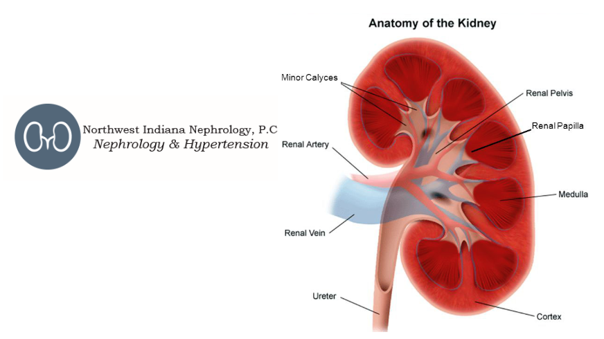 Northwest Indiana Nephrology | 6061 Broadway, Merrillville, IN 46410, USA | Phone: (219) 884-2011