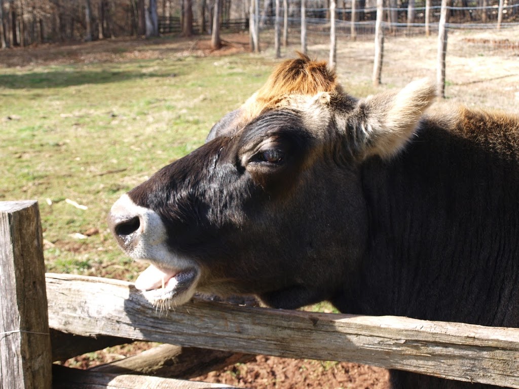 Horne Creek Living Historical Farm | 308 Horne Creek Farm Rd, Pinnacle, NC 27043, USA | Phone: (336) 325-2298