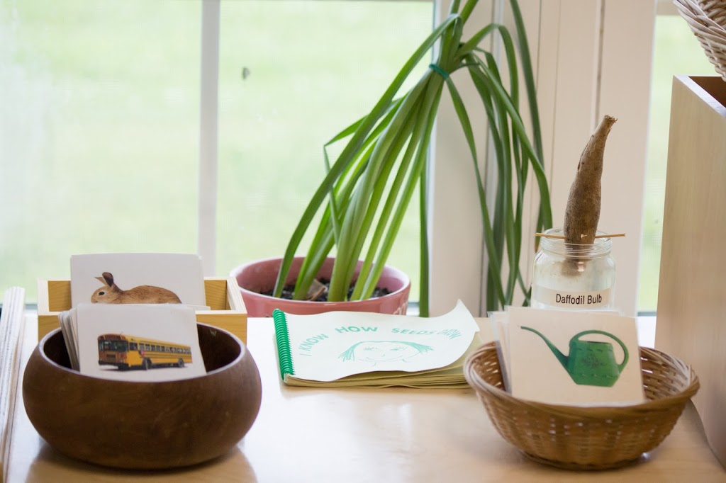 Grace Montessori Academy, Inc. - Sunday