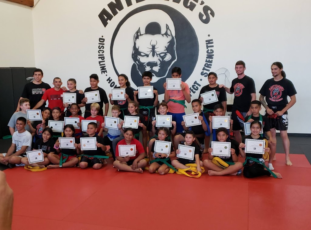 Antdawgs MMA Training Center | 6901 Monterey Hwy, Gilroy, CA 95020, USA | Phone: (408) 337-5774