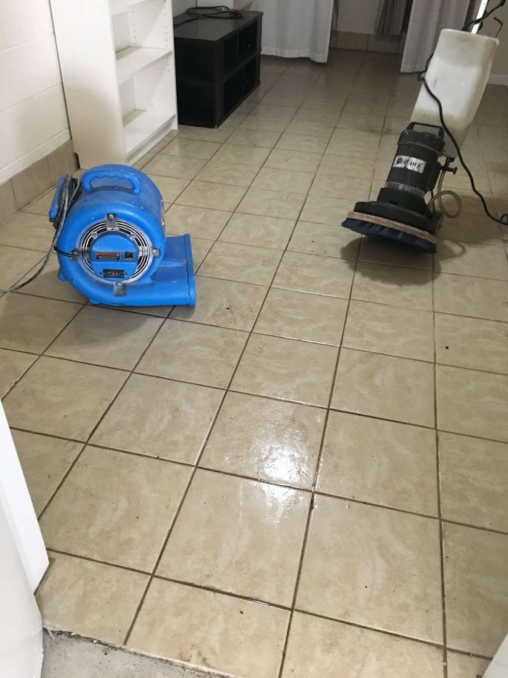 Tanin Carpet Cleaning, Water Damage, Mold Removal Arlington Hts | 1400 E Lillian Ave, Arlington Heights, IL 60004, USA | Phone: (847) 345-4774