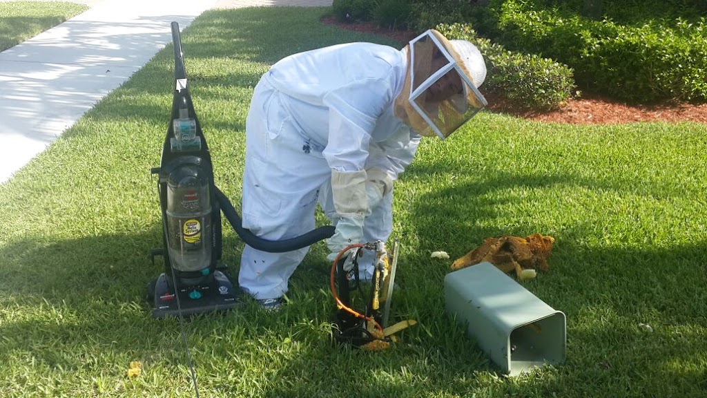 Forsyth Exterminating | 1107 Atlanta Hwy, Cumming, GA 30040, USA | Phone: (770) 889-0954