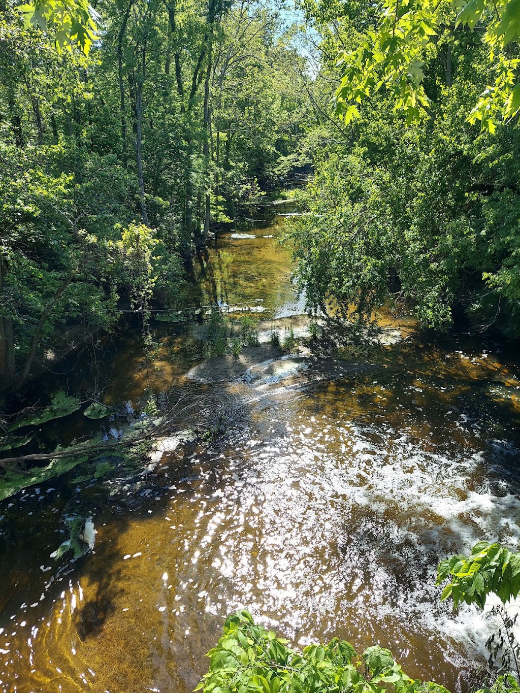 Benton Hydro ‒ River Preserve County Park | 67799 Co Rd 127, Goshen, IN 46526, USA | Phone: (574) 535-6458