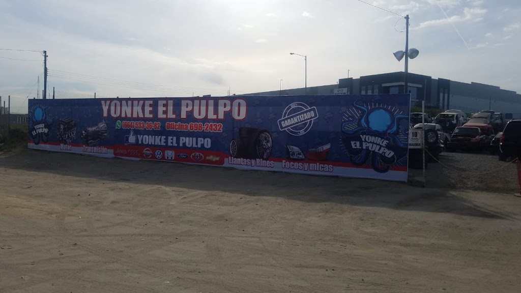 YONKE EL PULPO | Río Tijuana 3a. Etapa, Tijuana, B.C., Mexico | Phone: 664 533 3682