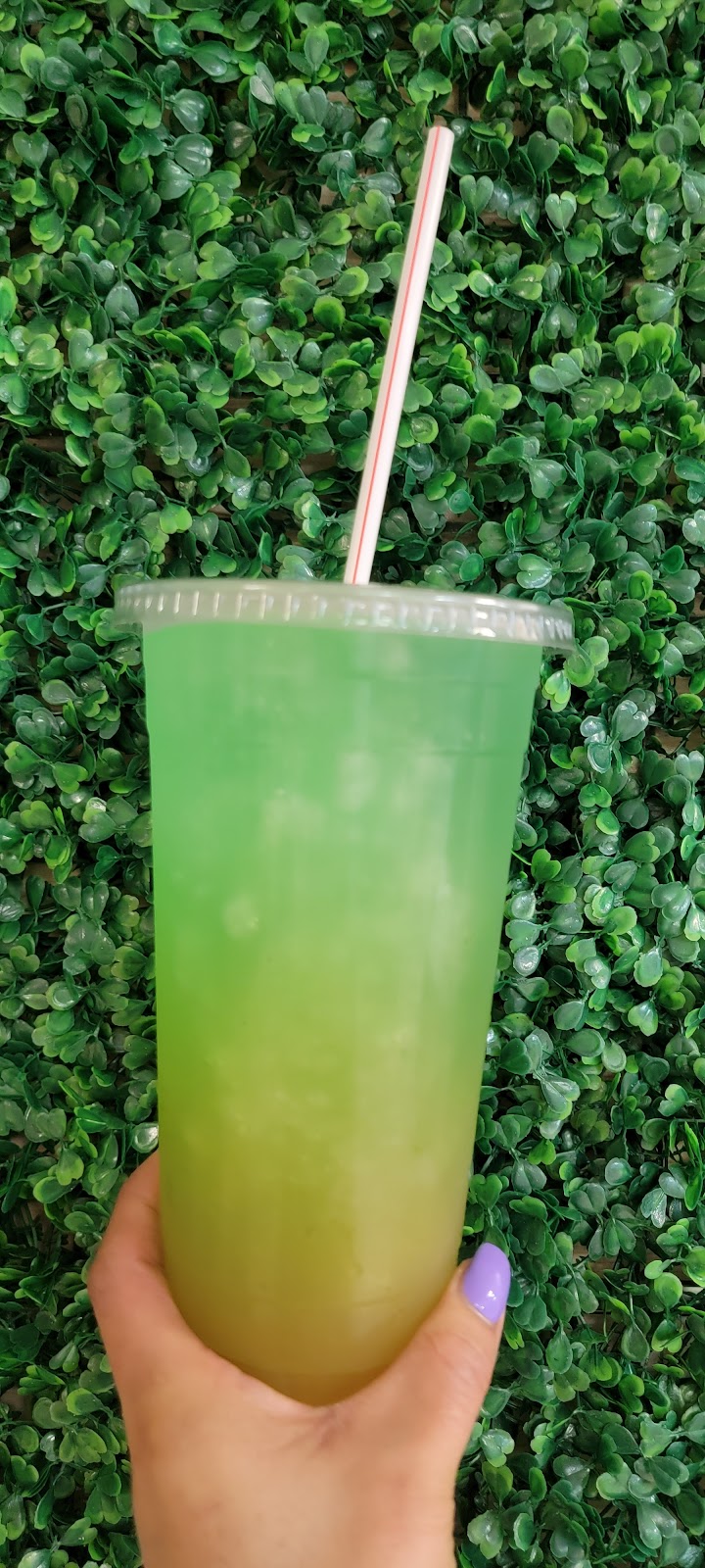 ACTIVE AND HEALTHY LIFE | 665 SW 27th Ave #7, Fort Lauderdale, FL 33312, USA | Phone: (954) 562-2478