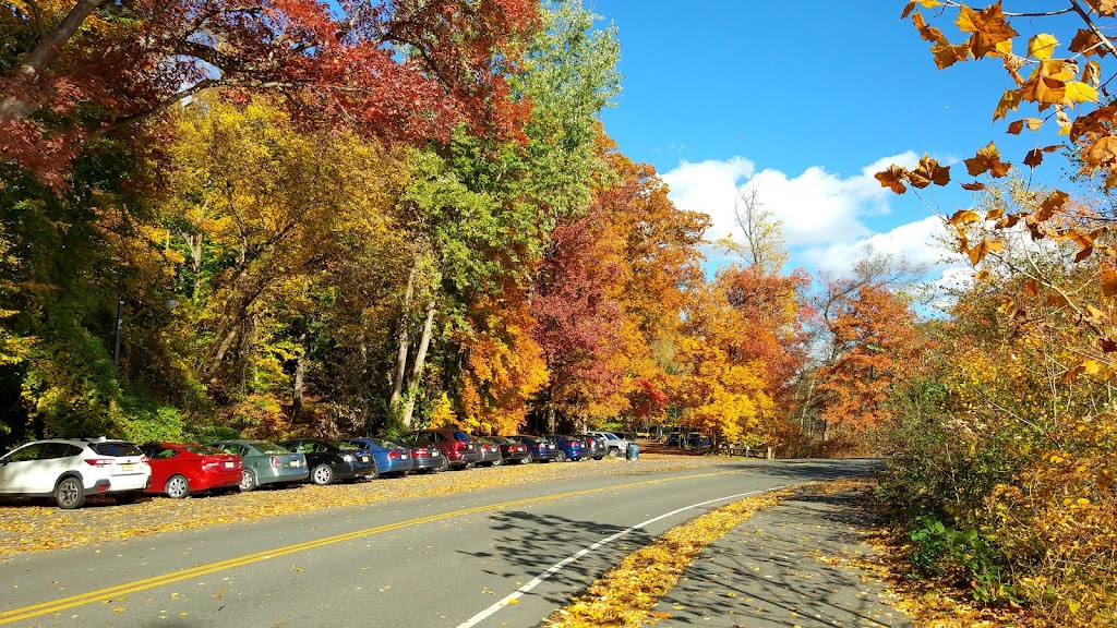 Echo Lake Park Pedal Boats & Cafe | Park Dr, Mountainside, NJ 07092, USA | Phone: (908) 527-4000