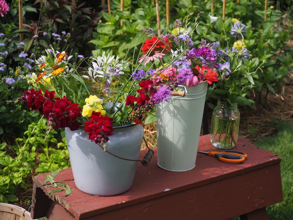 A Pretty Posy .co | 5245 Knox Ave S, Minneapolis, MN 55419, USA | Phone: (612) 327-7764