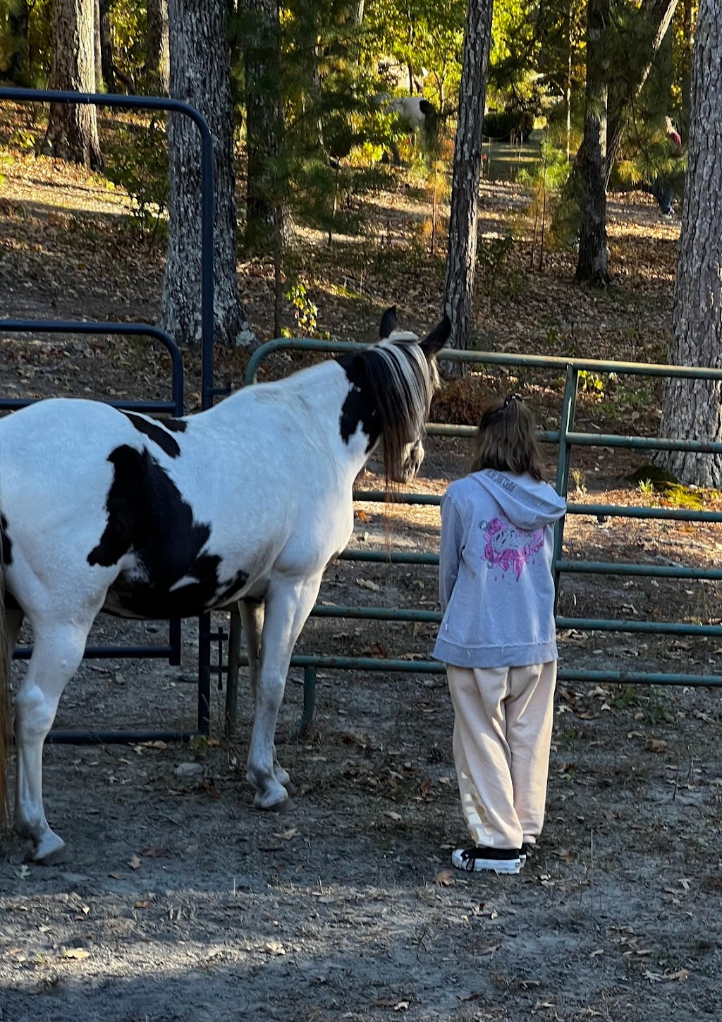 Voices from the Scars | 549 Deer Track Dr, Canton, GA 30114, USA | Phone: (404) 245-7367