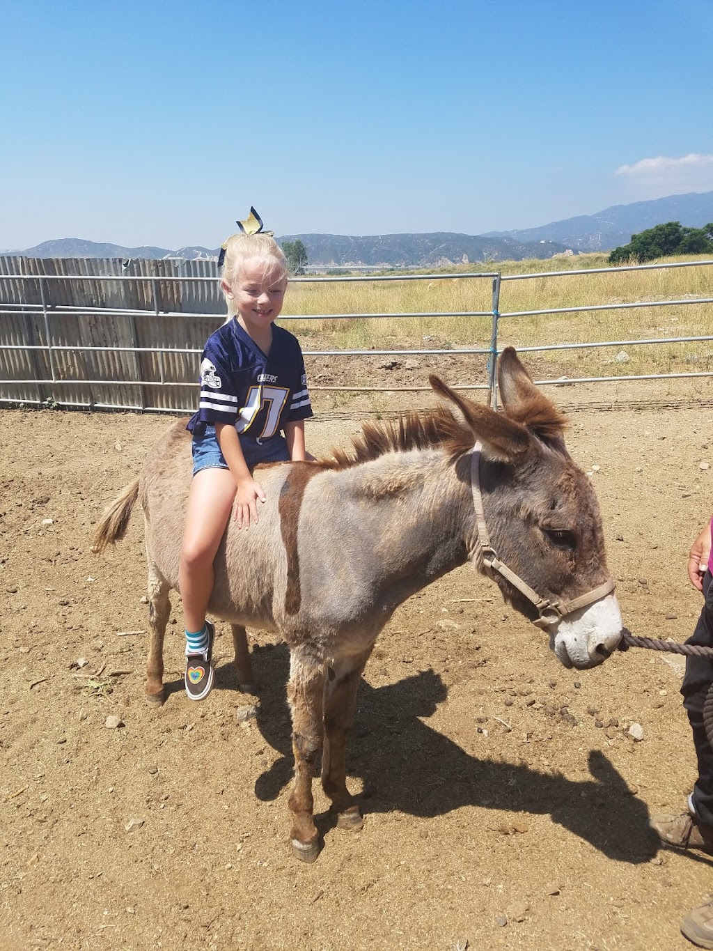 Alice | 1623 N Hall St STE 103, Dallas, TX 75204, USA | Phone: (469) 872-0001