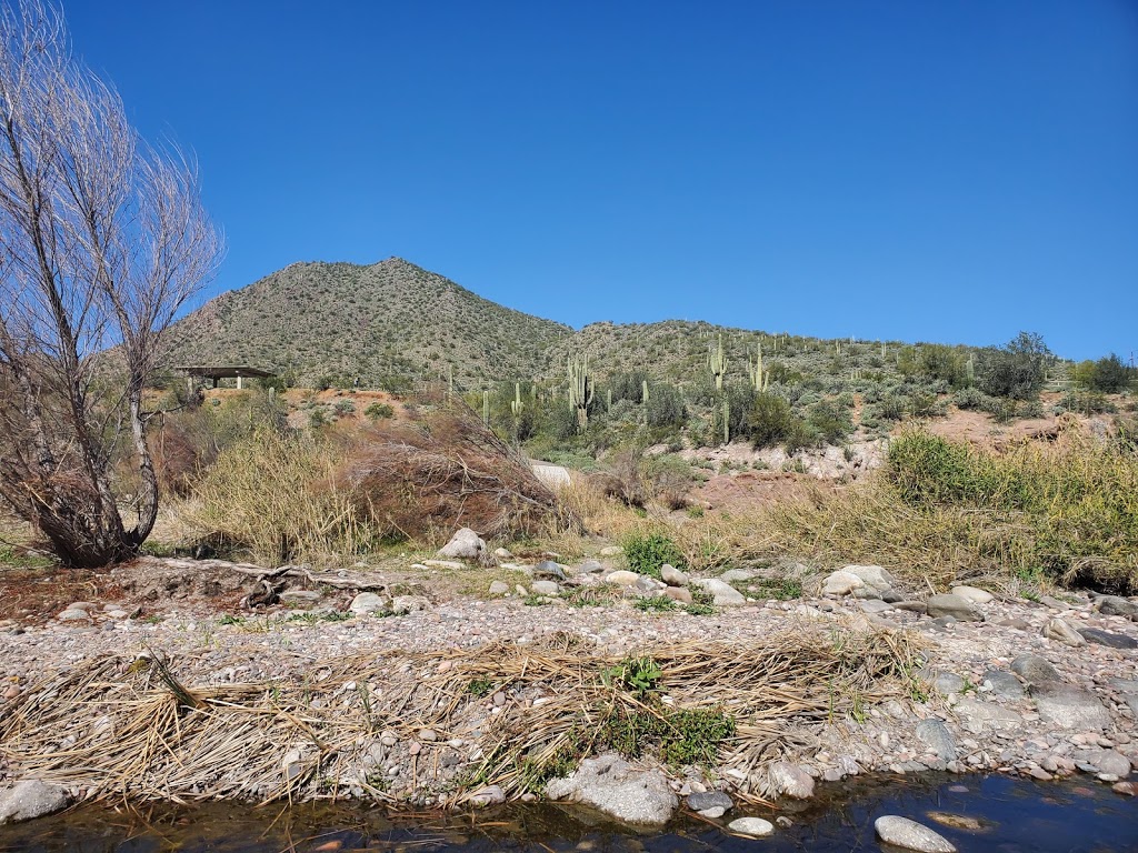 Water Users Recreation Site | Tonto Basin, AZ 85553, USA | Phone: (480) 610-3300