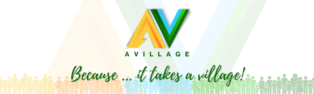 AVillage Inc | 52 James St, Albany, NY 12207 | Phone: (518) 451-9849