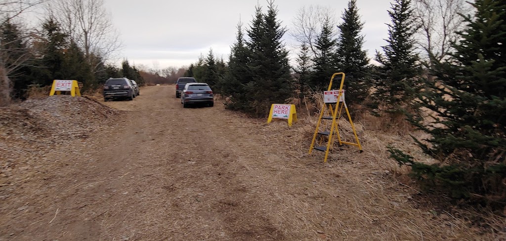 Newell Family Christmas Tree Farm | 22744 Olgilvie, Avenue North, Scandia, MN 55073, USA | Phone: (651) 433-3522