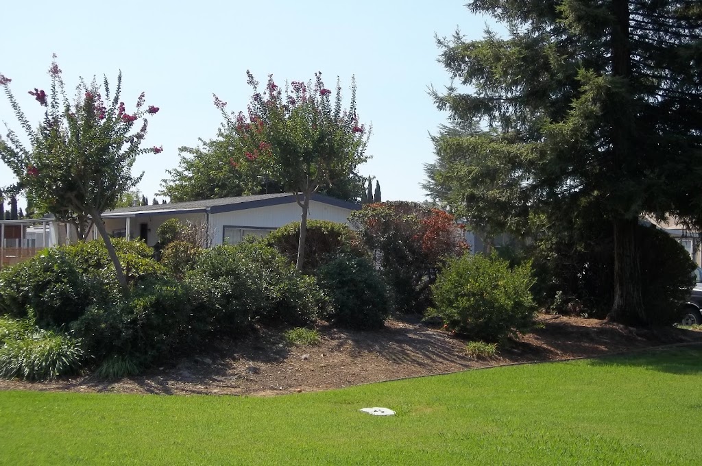 Camellia Village Mobile Home | 8231 Gerber Rd, Sacramento, CA 95828, USA | Phone: (916) 423-1110