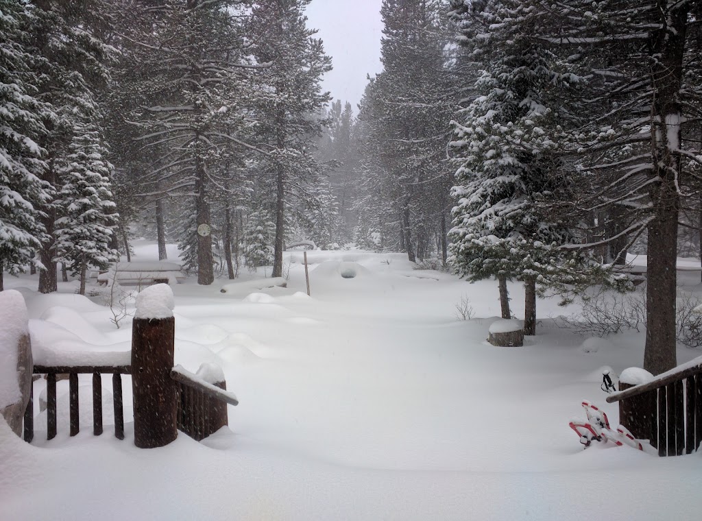 Lost Trail Lodge | 8600 Cold Stream Rd, Truckee, CA 96161, USA | Phone: (530) 320-9268