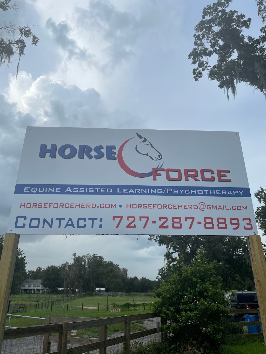 Horse Force | 3102 Thonotosassa Rd, Plant City, FL 33565, USA | Phone: (727) 287-8893