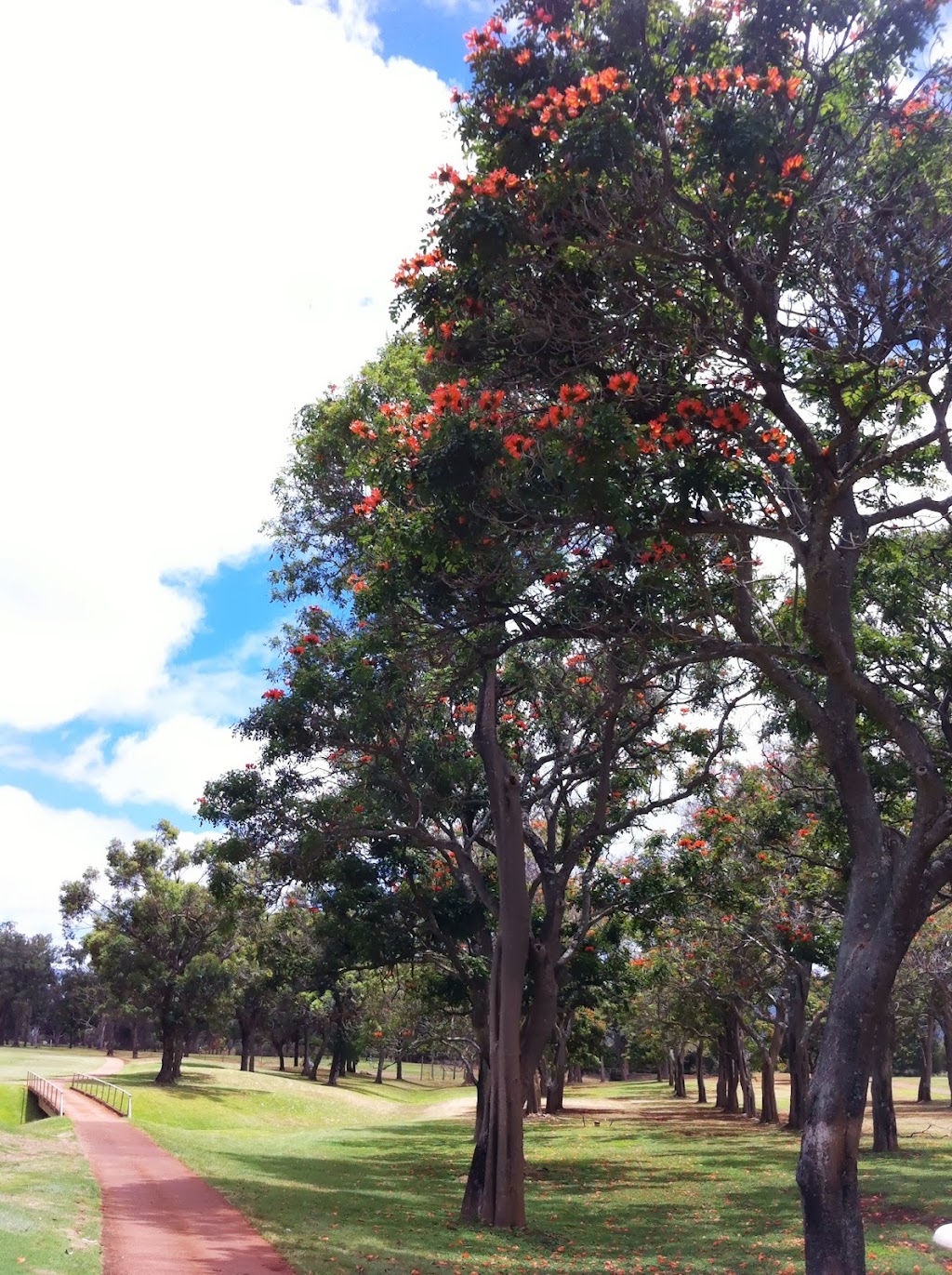 Melemanu Neighborhood Park | Wahiawa, HI 96786, USA | Phone: (808) 675-6030