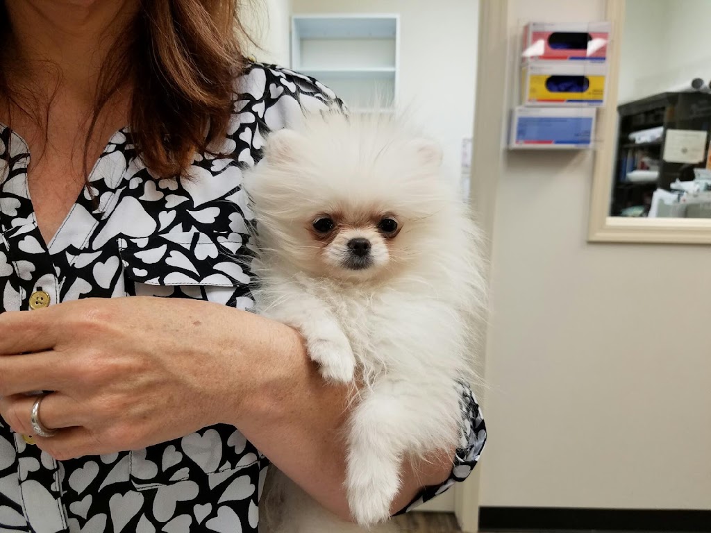 Little Critters Veterinary Hospital | 1525 N Gilbert Rd #C-101, Gilbert, AZ 85234, USA | Phone: (480) 696-7744 Little Critters Veterinary Hospital | 1525 N Gilbert Rd #C-101, Gilbert, AZ 85234, USA | Phone: (480) 696-7744