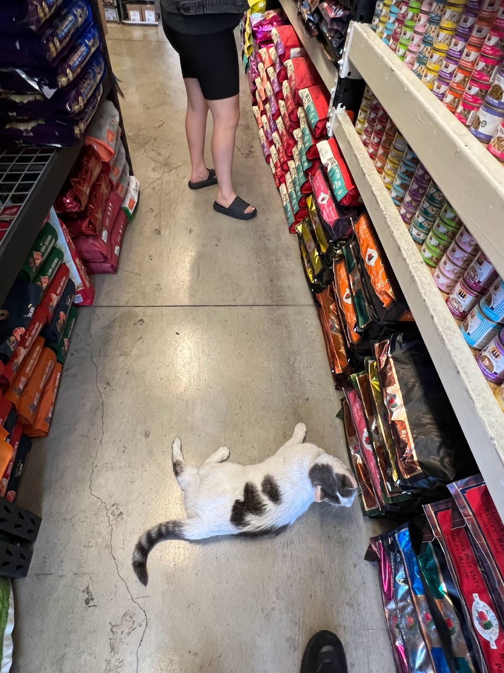 Pet Express | 1232 S La Cienega Blvd, Los Angeles, CA 90035, USA | Phone: (310) 657-4738
