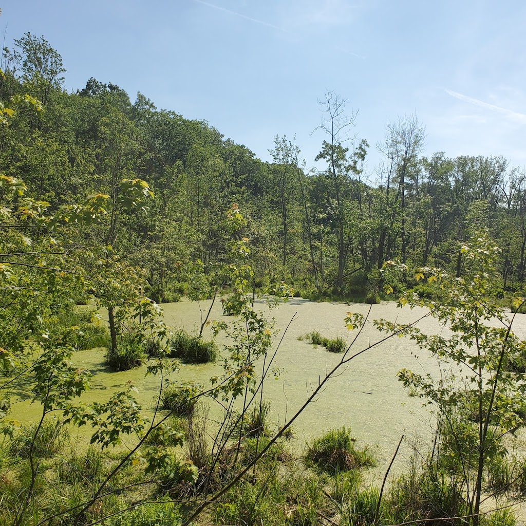 West Bloomfield Woods Nature Preserve | 4655 Arrowhead Rd, West Bloomfield Township, MI 48323, USA | Phone: (248) 451-1900