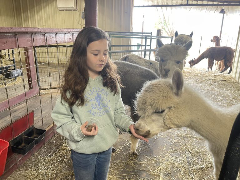 88888 Pickleball | 3951 FM1504, Wills Point, TX 75169, USA | Phone: (430) 207-1367