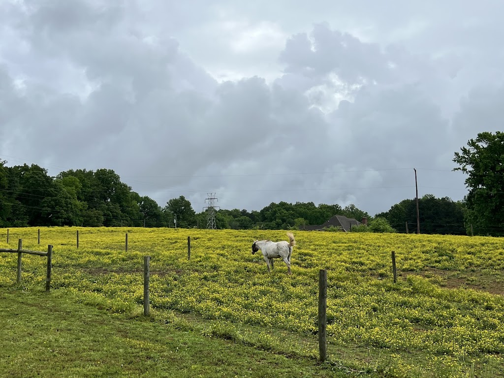 Strouds Creek Farm | 1600 Friendship Ln, Hillsborough, NC 27278, USA | Phone: (919) 406-4552