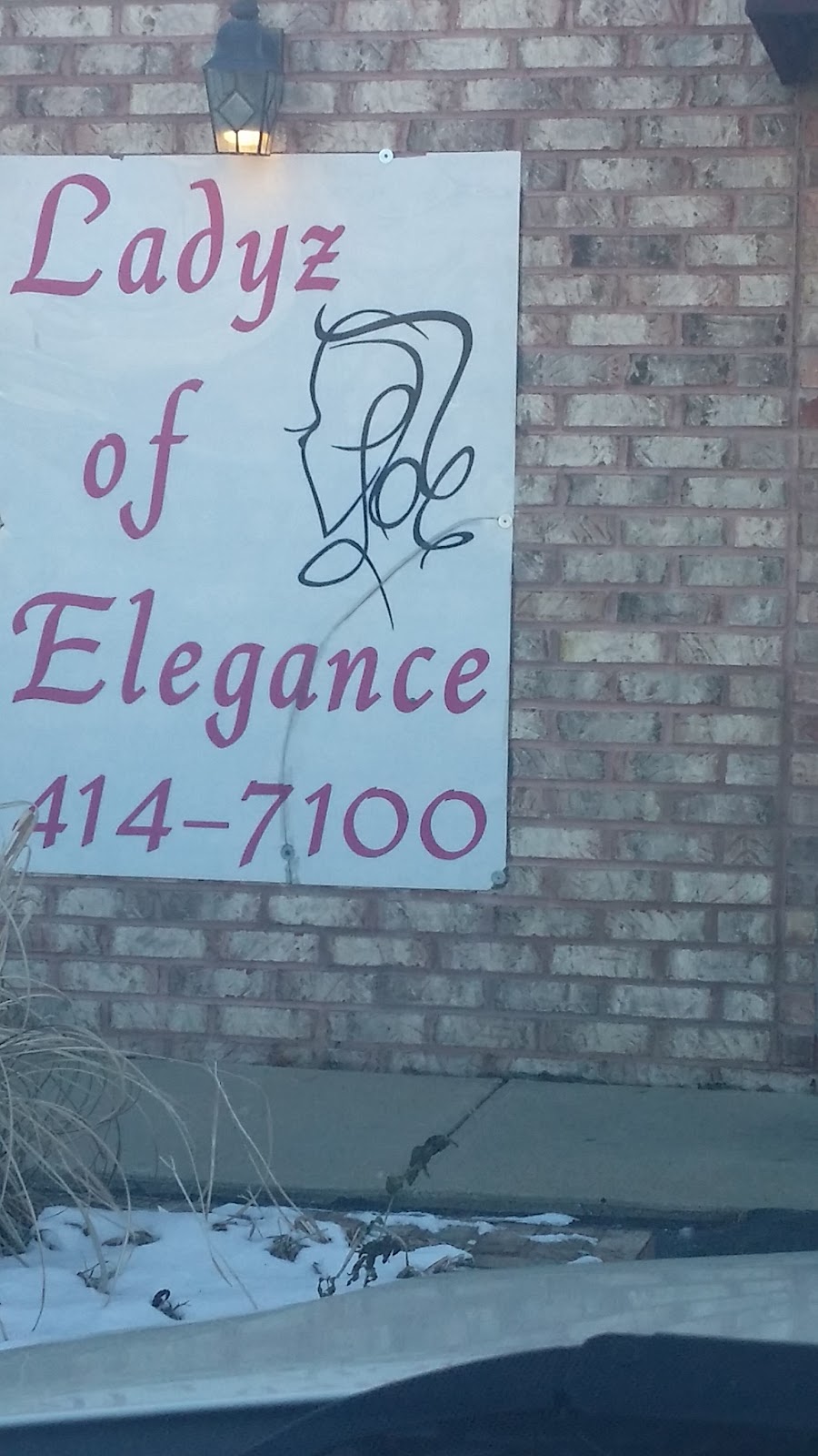 Ladyz Of Elegance Salon & Store | 9589 Page Ave, Overland, MO 63114, USA | Phone: (314) 414-7100
