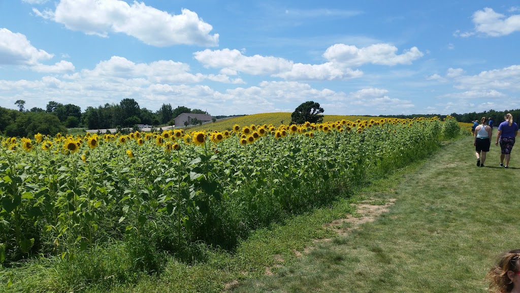 Pope Farm Conservancy | 7440 Old Sauk Rd, Verona, WI 53593, USA | Phone: (608) 833-5887