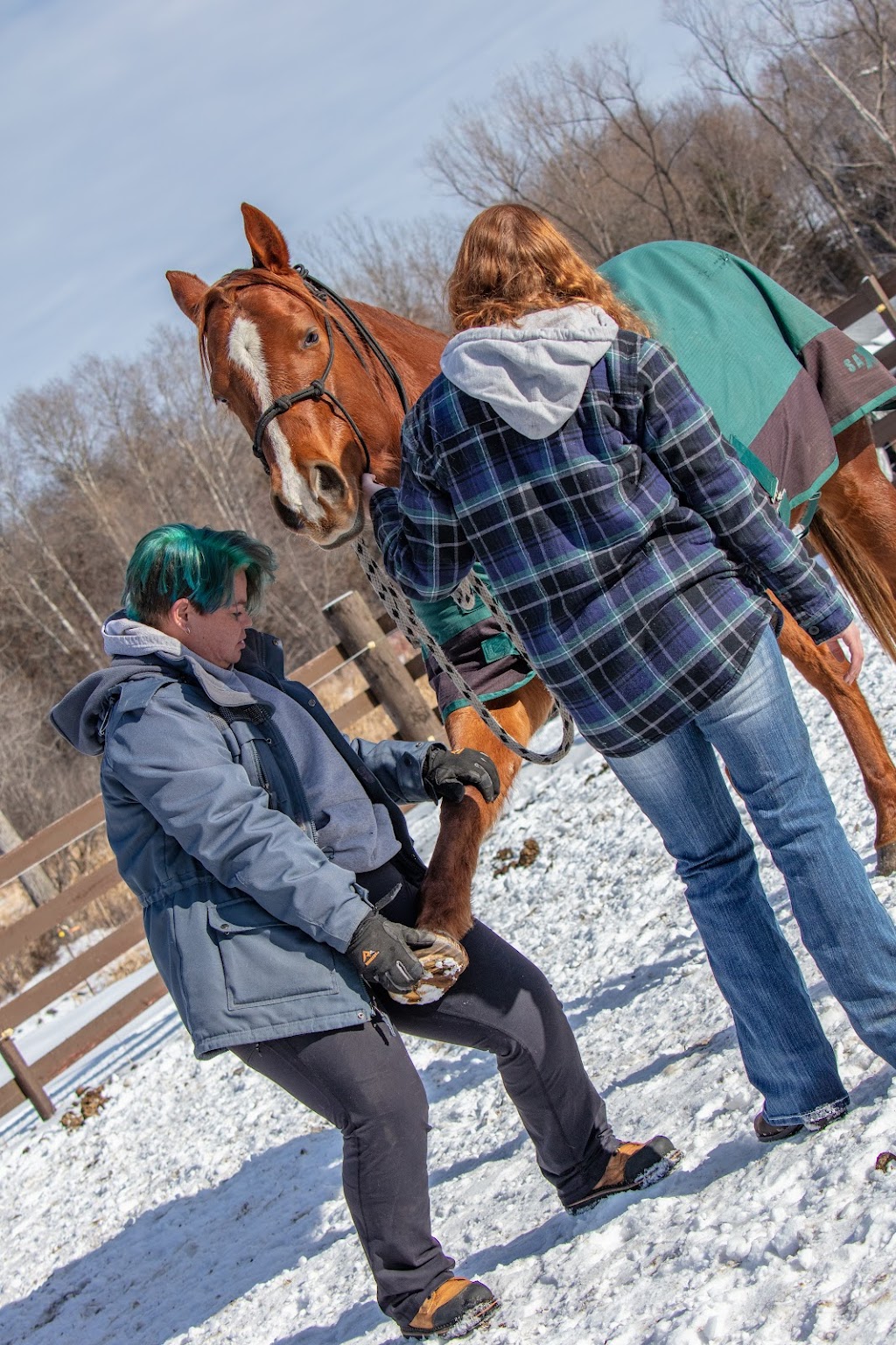 GRG Ranch Horse Rescue & Sanctuary | 3380 233rd St E, Prior Lake, MN 55372, USA | Phone: (612) 801-2031