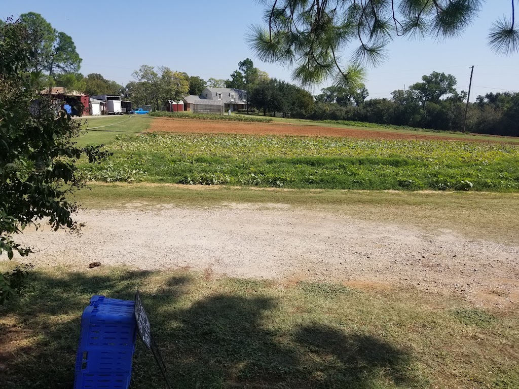 Demases Farm | 496 Co Rd 4756, Boyd, TX 76023, USA | Phone: (940) 577-0203