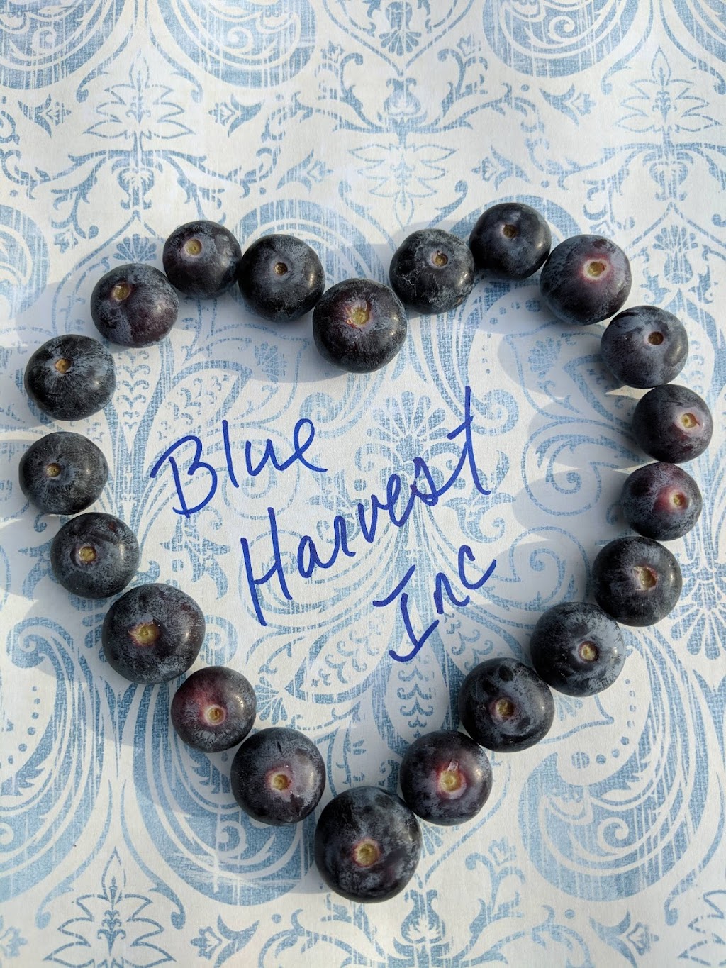 Blue Harvest Inc. | 12954 Hudson Ave, Hudson, FL 34669, USA | Phone: (727) 207-1176