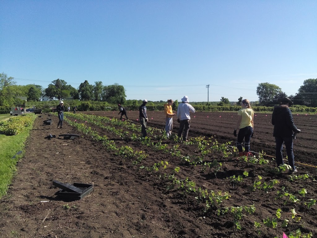 University of Minnesota Horticultural Research Center | 600 Arboretum Blvd, Excelsior, MN 55331, USA | Phone: (612) 624-2200