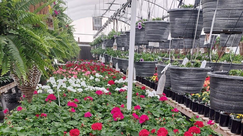 Sunny Acres Greenhouse LLC | 4325 OK-20, Pryor, OK 74361, USA | Phone: (806) 281-7845