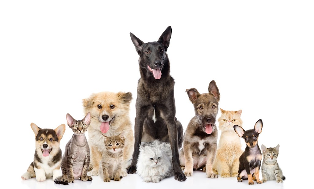 UrgentVet Pet Clinic - Fort Mill | 870 Gold Hill Rd #102, Fort Mill, SC 29708, USA | Phone: (803) 486-2550