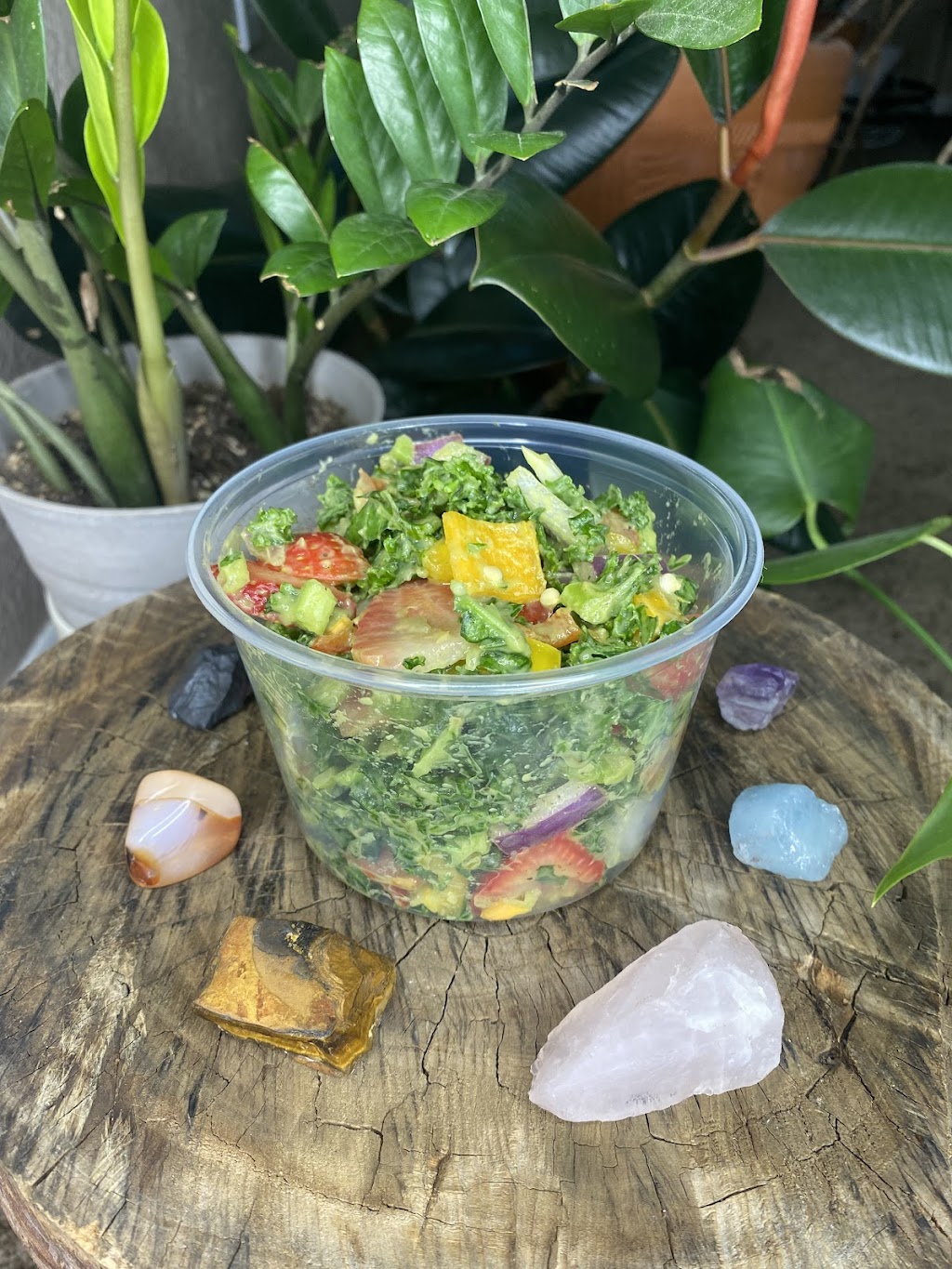 PLANT FED | 15251 Seneca Rd, Victorville, CA 92392, USA | Phone: (760) 792-5585