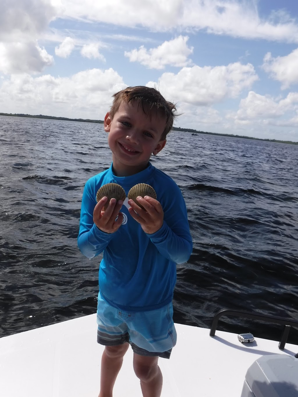 Seal in the Sun Charters | Anclote Village Marina, 1029 Baillies Bluff Road, Holiday, FL 34691, USA | Phone: (813) 915-3113