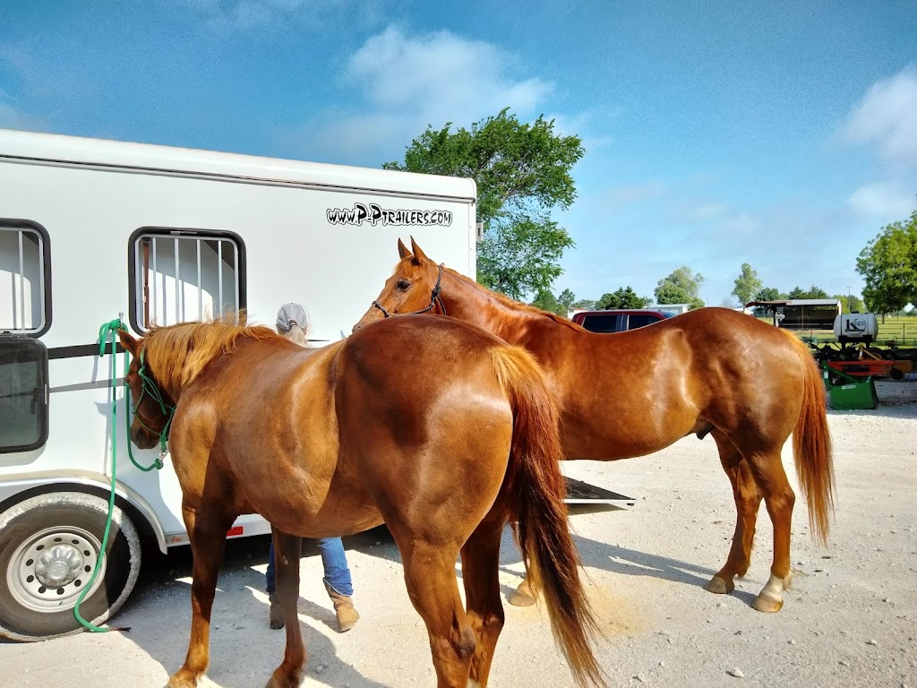 Premier Equine Veterinary Services | 130 Hughes Rd Box 1066, Whitesboro, TX 76273, USA | Phone: (855) 467-7838