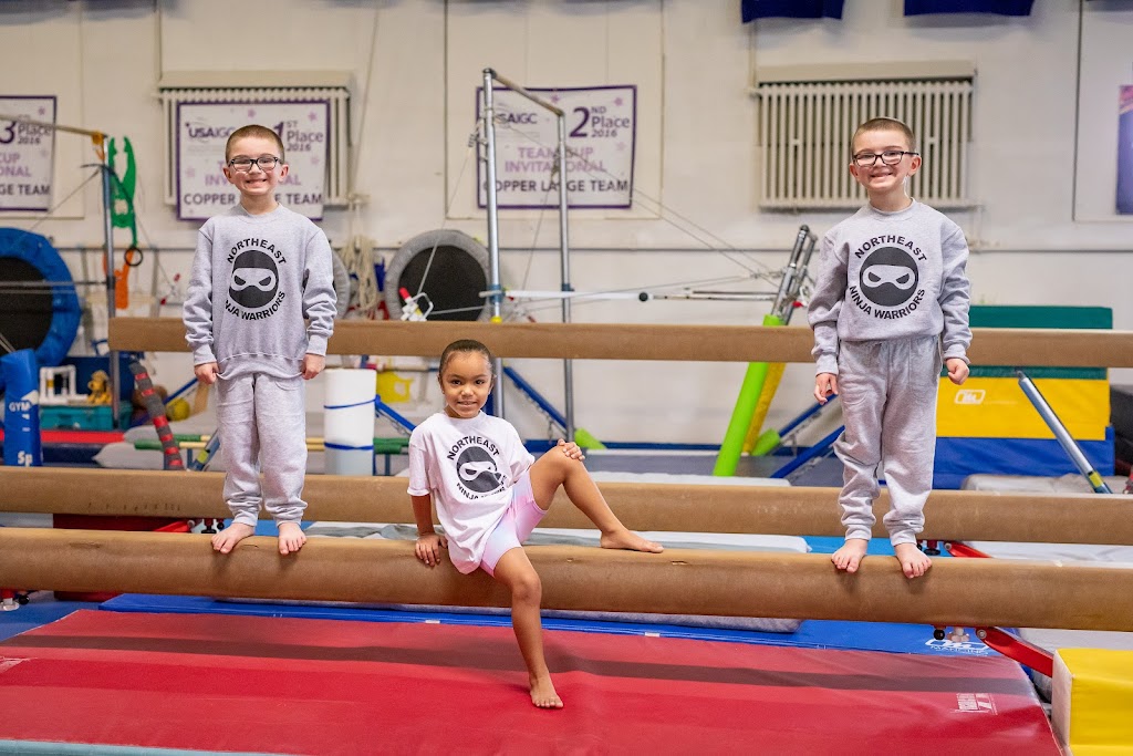 Northeast Institute Of Gymnastics Inc | 1237 Central Ave, Albany, NY 12205, USA | Phone: (518) 261-9987