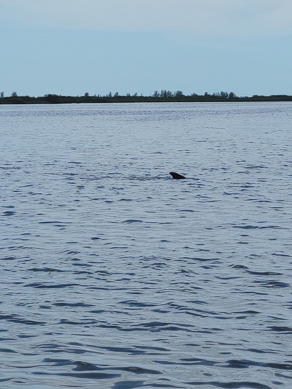 Bayport Airboat Tours | 8092 Marys Fish Camp Rd, Spring Hill, FL 34607, USA | Phone: (352) 361-0731