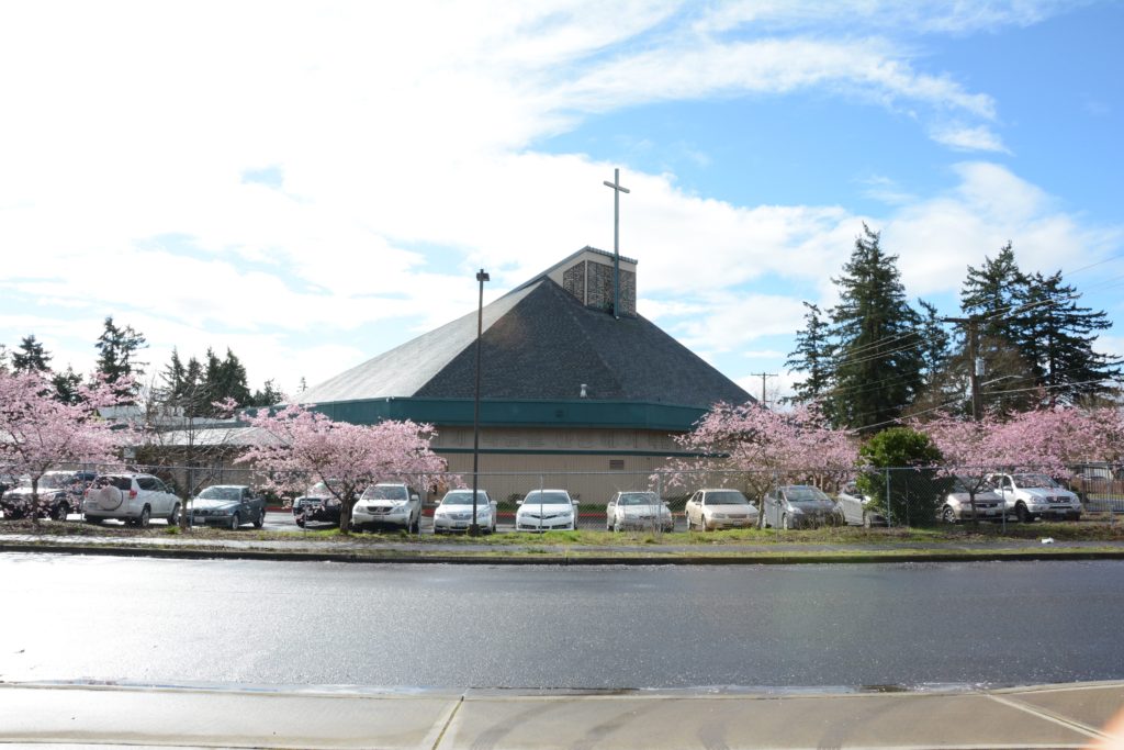 Open Worship - Tacoma Central Presbyterian Church | 8001 Pine St S, Lakewood, WA 98499, USA | Phone: (253) 592-0539