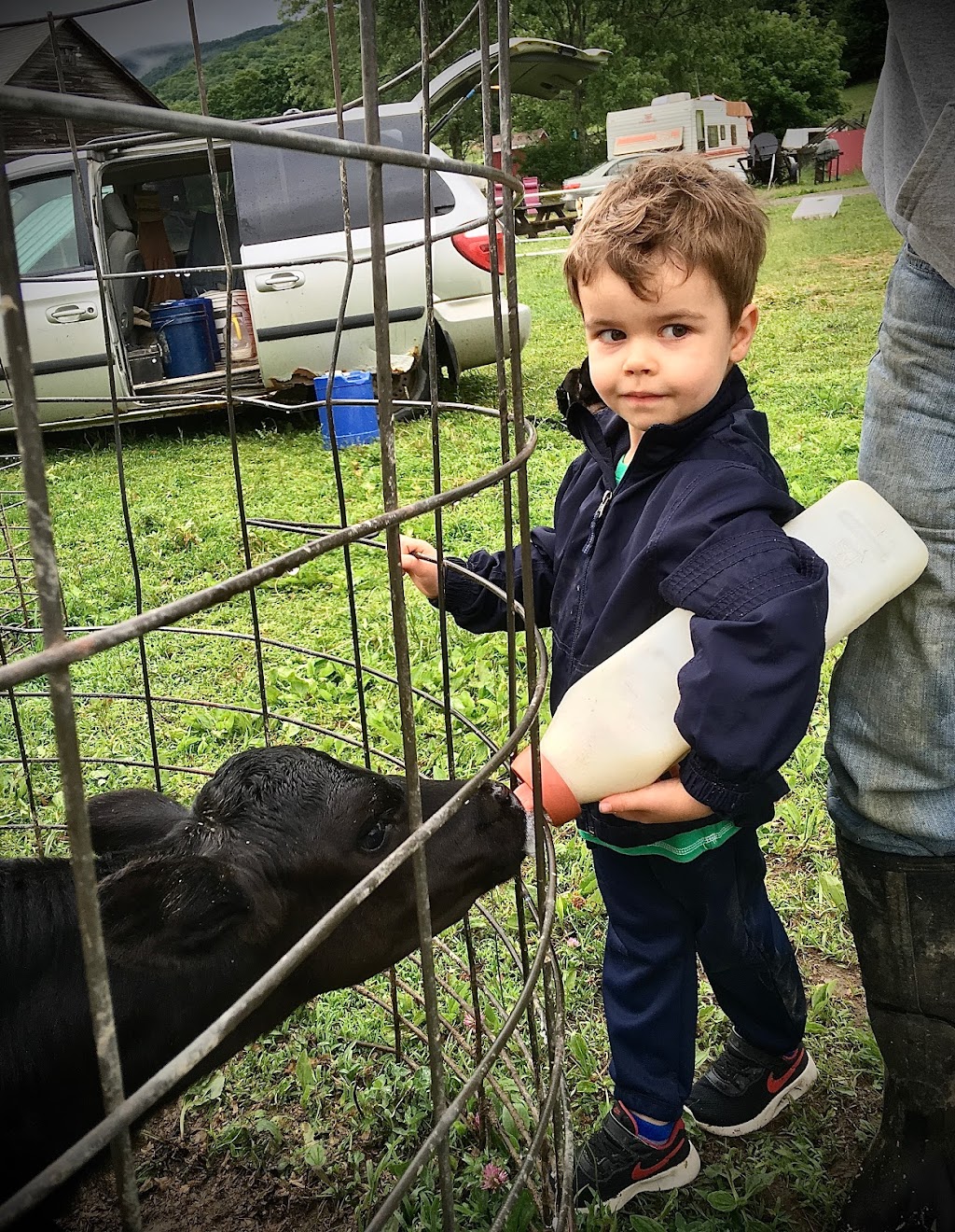 OverEast Family Farm | 480 Beattie Hollow Rd, Salem, NY 12865, USA | Phone: (518) 321-3184