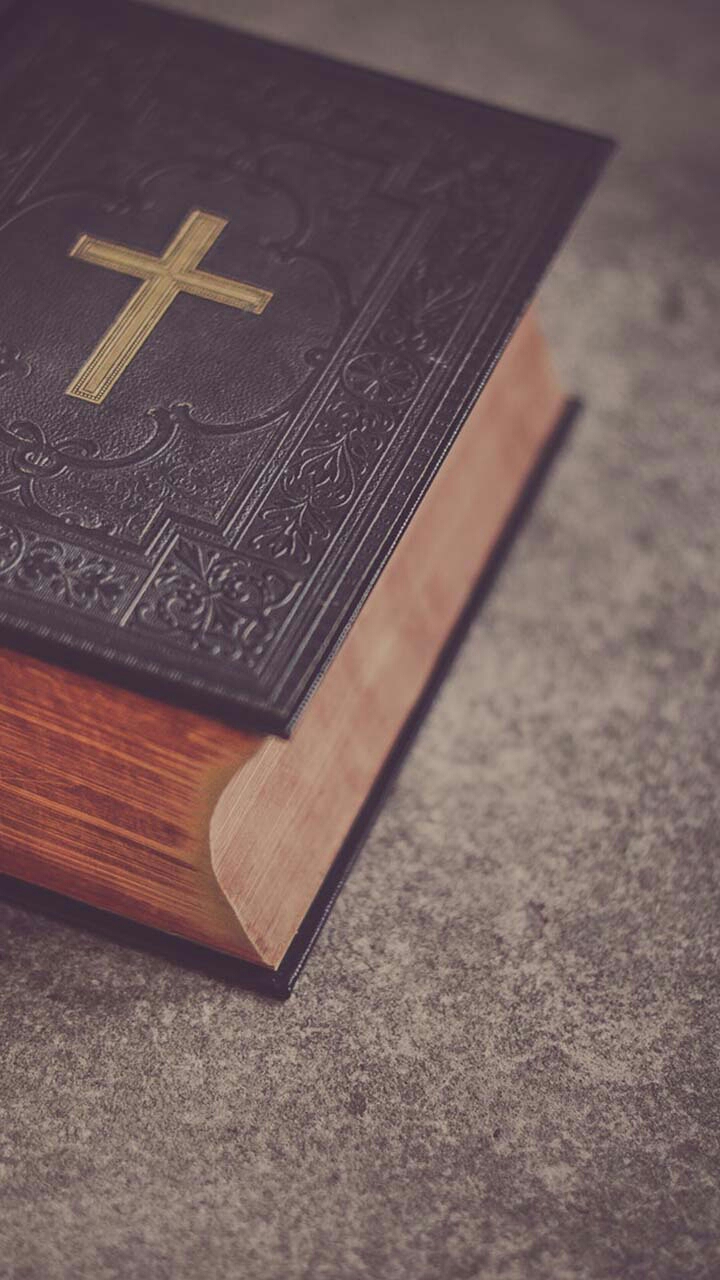 New Hope Stables | 104 Atkins Way, Hertford, NC 27944, USA | Phone: (252) 312-9994