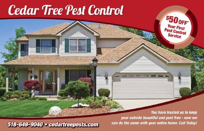 Cedar Tree Properties | 4217 Albany St, Albany, NY 12205, USA | Phone: (518) 649-9040