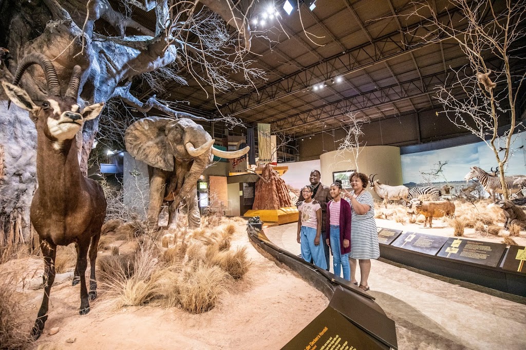 Anniston Museum of Natural History | 800 Museum Dr, Anniston, AL 36206, USA | Phone: (256) 237-6766