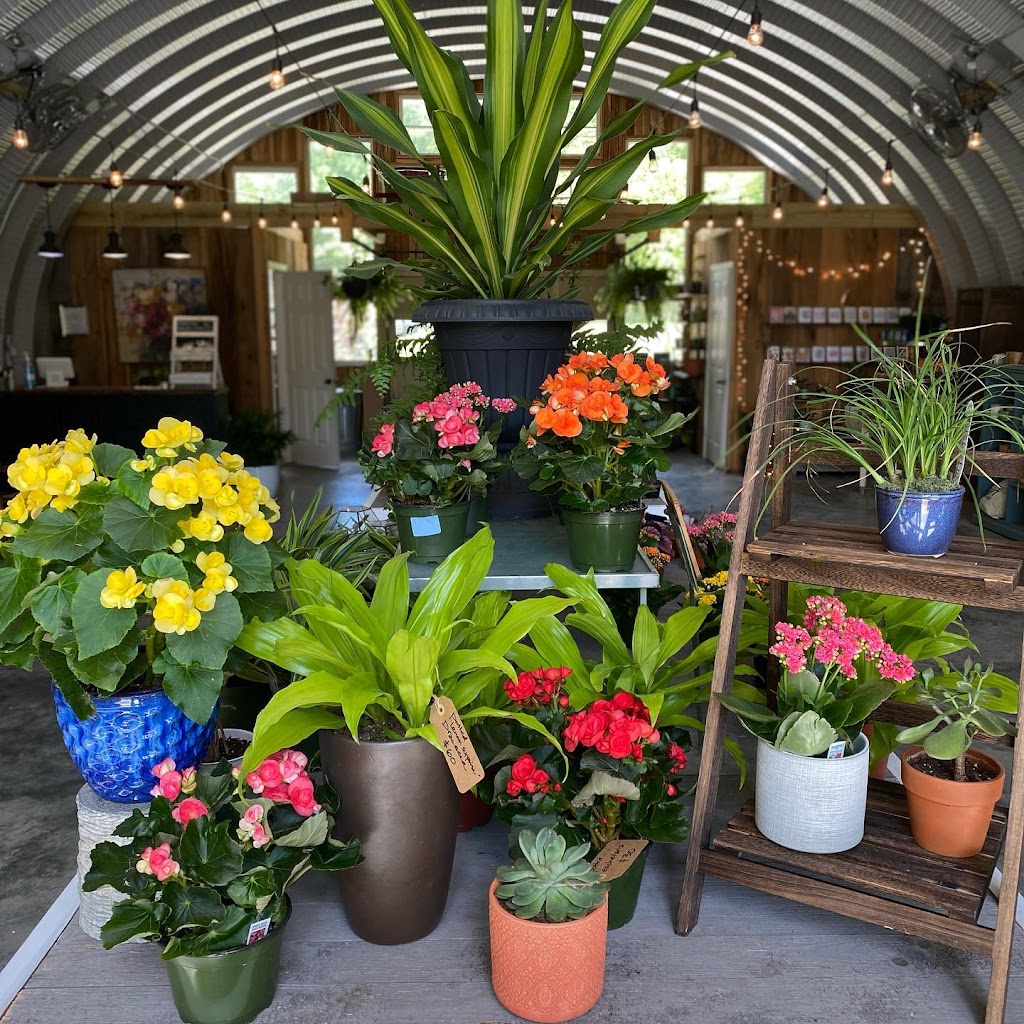 Thrive Garden Center | 1114 Hwy 70, Kingston Springs, TN 37082, USA | Phone: (615) 642-7031