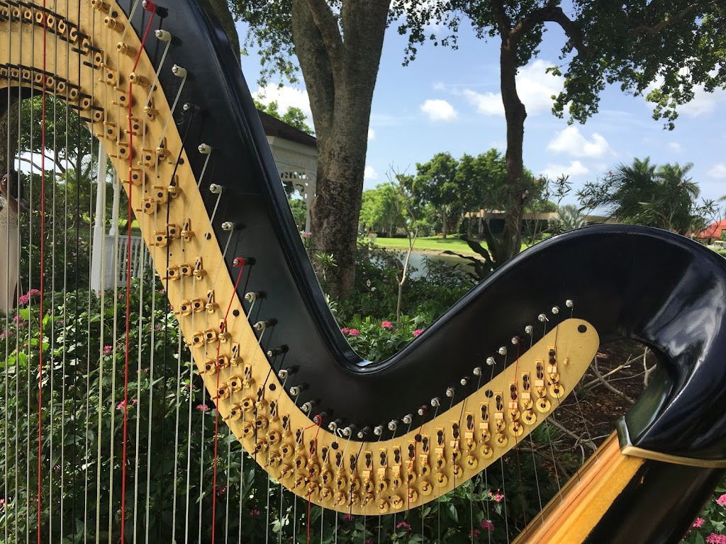 Harpist Lisa | 9304 Chelsea Dr S, Plantation, FL 33324, USA | Phone: (954) 684-0441