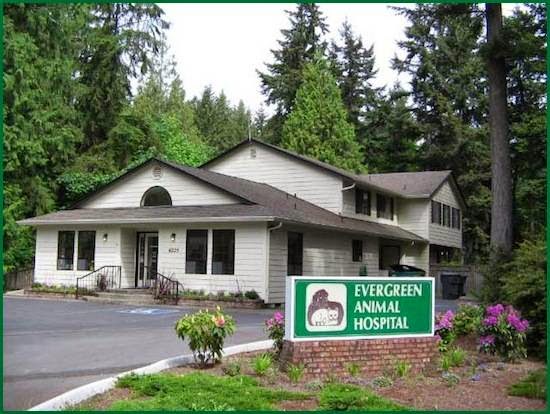 Evergreen Animal Hospital | 6225 Wollochet Dr, Gig Harbor, WA 98335 | Phone: (253) 851-9195