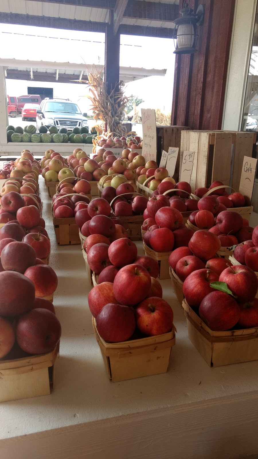 Gregs U-Pick Farm Market and CSA | 9270 Lapp Rd, Clarence Center, NY 14032, USA | Phone: (716) 741-4239